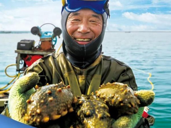 海参行业安全典范丨9998vip威尼斯海参连续14年获得国家有机认证